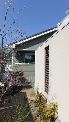 Before画像