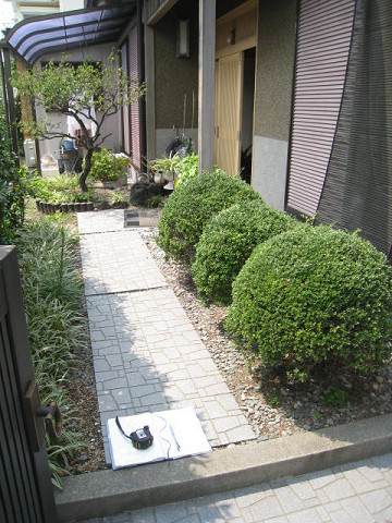 Before画像