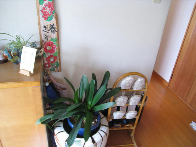 Before画像