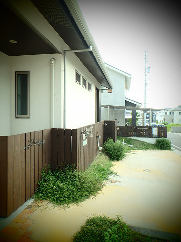 After画像