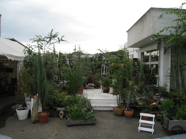 Before画像