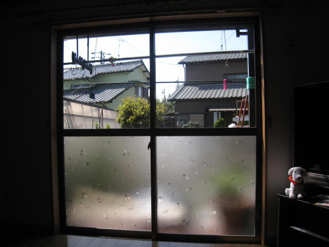 Before画像