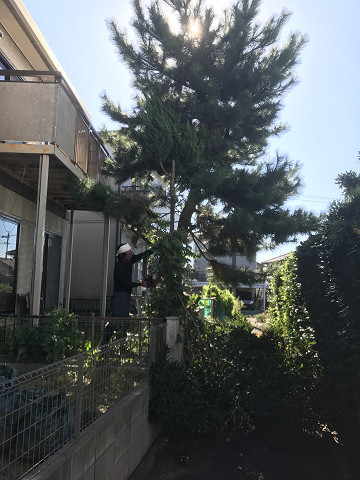 Before画像