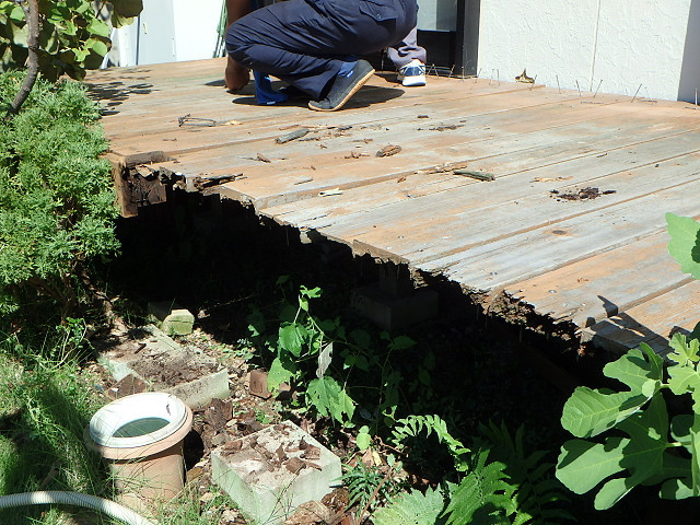 Before画像