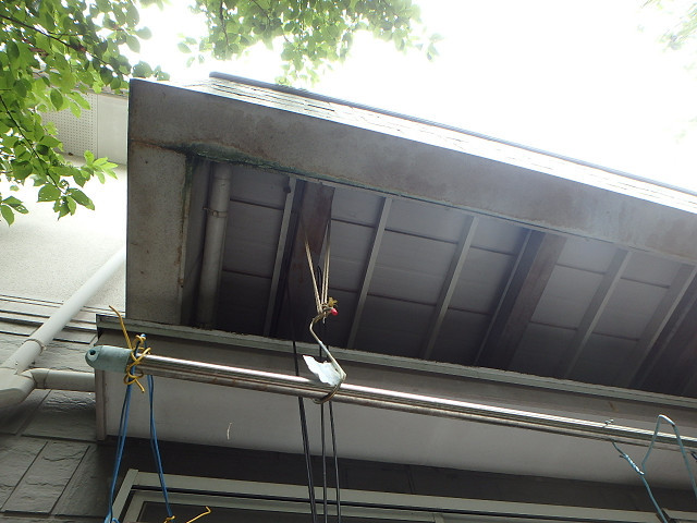 Before画像