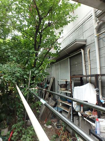 Before画像