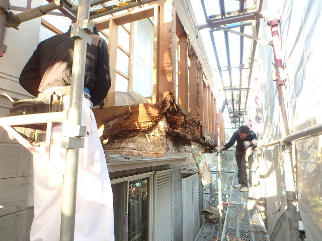 Before画像