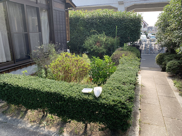 Before画像
