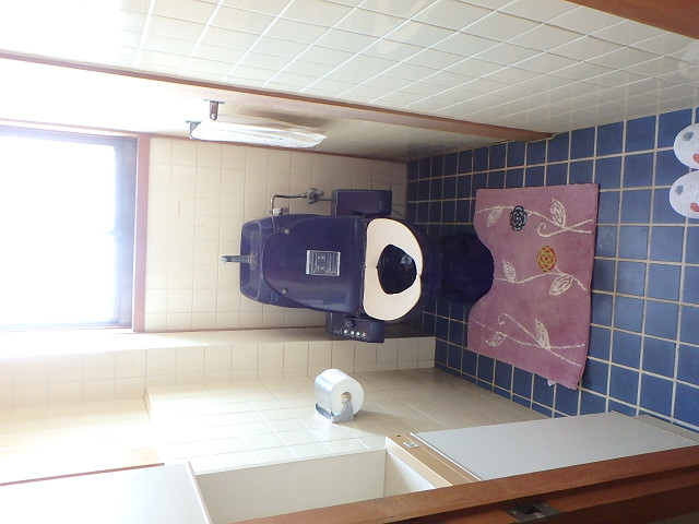 Before画像