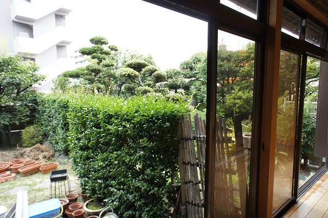 Before画像