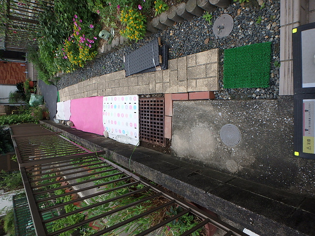 Before画像