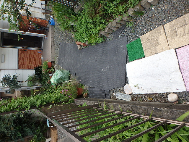 Before画像