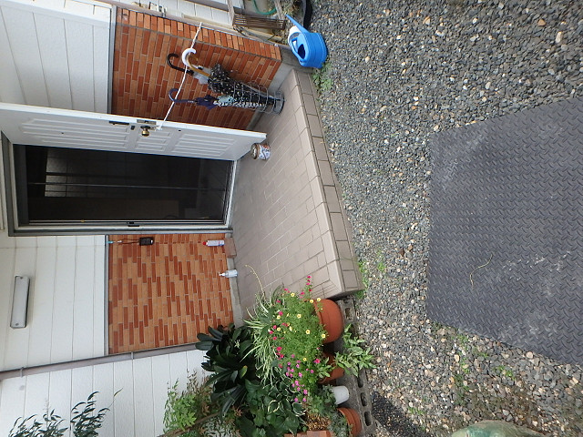 Before画像