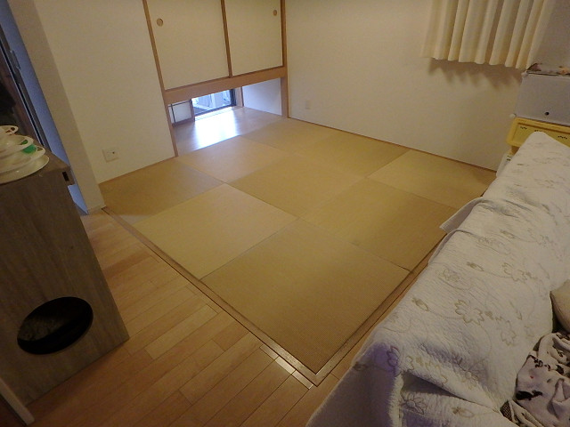 Before画像